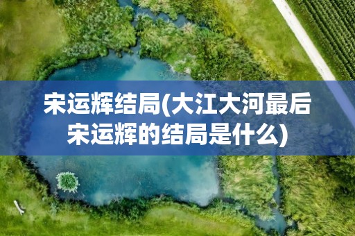 宋运辉结局(大江大河最后宋运辉的结局是什么)