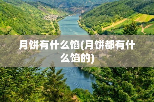 月饼有什么馅(月饼都有什么馅的)