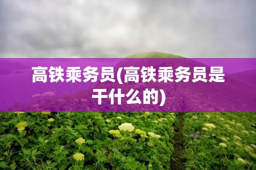 高铁乘务员(高铁乘务员是干什么的)