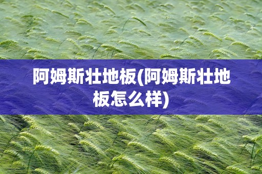 阿姆斯壮地板(阿姆斯壮地板怎么样)