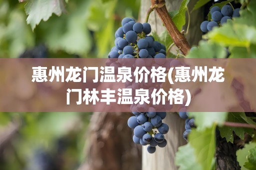 惠州龙门温泉价格(惠州龙门林丰温泉价格)