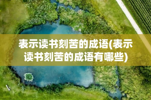 表示读书刻苦的成语(表示读书刻苦的成语有哪些)