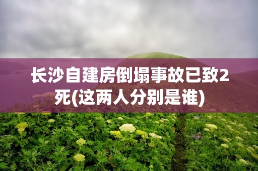 长沙自建房倒塌事故已致2死(这两人分别是谁)