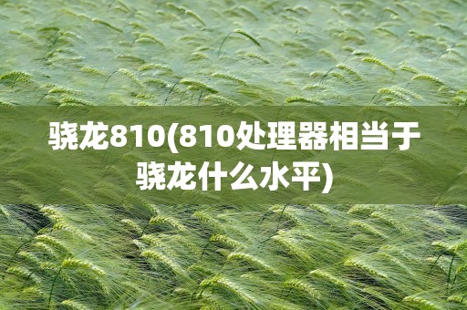 骁龙810(810处理器相当于骁龙什么水平)