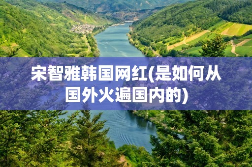 宋智雅韩国网红(是如何从国外火遍国内的)