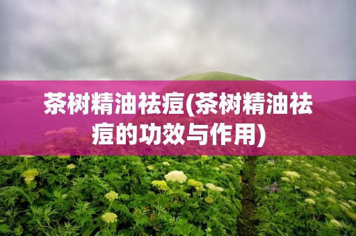 茶树精油祛痘(茶树精油祛痘的功效与作用)