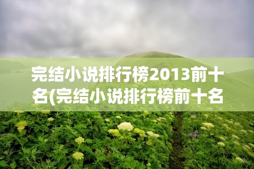 完结小说排行榜2013前十名(完结小说排行榜前十名)
