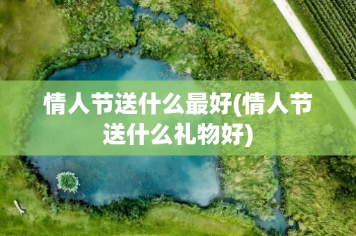 情人节送什么最好(情人节送什么礼物好)