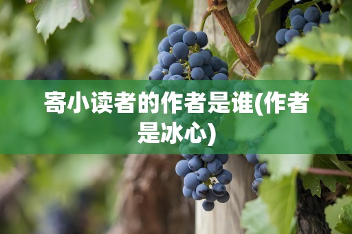 寄小读者的作者是谁(作者是冰心)