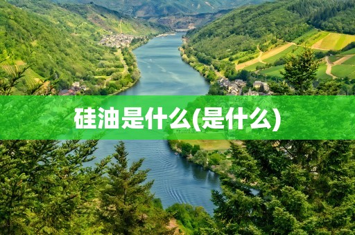 硅油是什么(是什么)