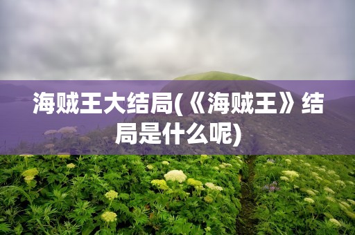 海贼王大结局(《海贼王》结局是什么呢)