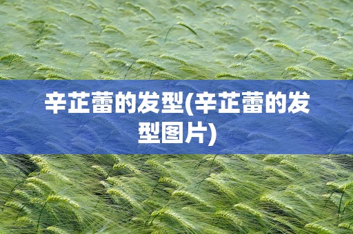 辛芷蕾的发型(辛芷蕾的发型图片)