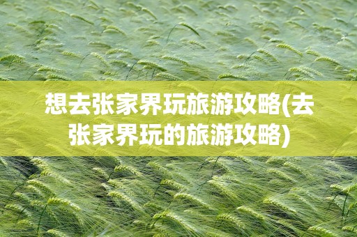 想去张家界玩旅游攻略(去张家界玩的旅游攻略)