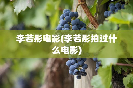 李若彤电影(李若彤拍过什么电影)