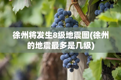 徐州将发生8级地震图(徐州的地震最多是几级)