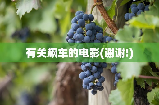 有关飙车的电影(谢谢!)