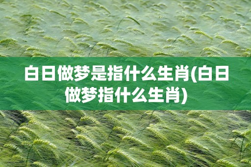 白日做梦是指什么生肖(白日做梦指什么生肖)