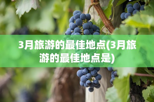 3月旅游的最佳地点(3月旅游的最佳地点是)