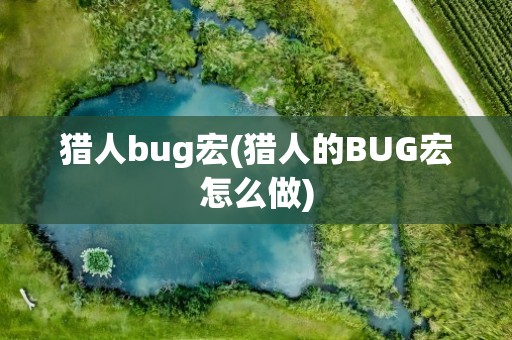 猎人bug宏(猎人的BUG宏怎么做)