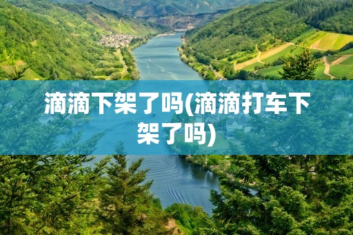 滴滴下架了吗(滴滴打车下架了吗)