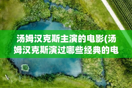 汤姆汉克斯主演的电影(汤姆汉克斯演过哪些经典的电影)