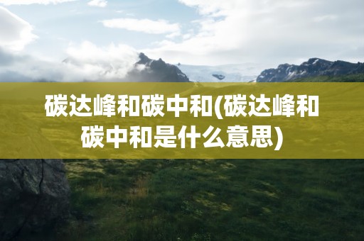 碳达峰和碳中和(碳达峰和碳中和是什么意思)