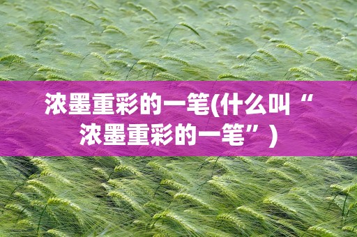 浓墨重彩的一笔(什么叫“浓墨重彩的一笔”)