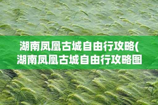 湖南凤凰古城自由行攻略(湖南凤凰古城自由行攻略图)