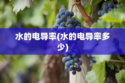 水的电导率(水的电导率多少)