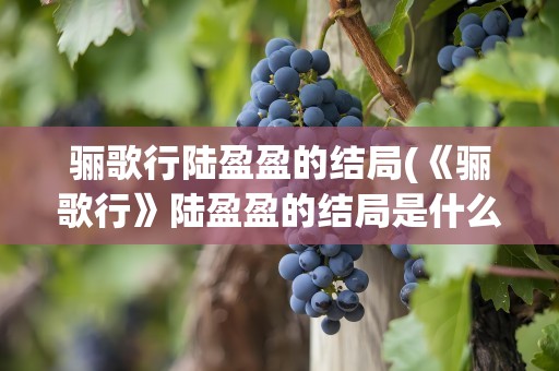 骊歌行陆盈盈的结局(《骊歌行》陆盈盈的结局是什么)