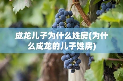 成龙儿子为什么姓房(为什么成龙的儿子姓房)