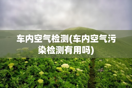 车内空气检测(车内空气污染检测有用吗)