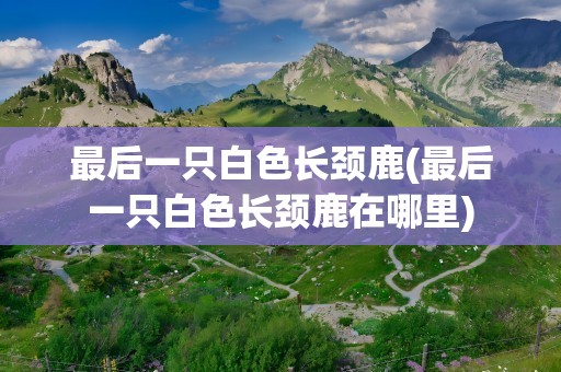 最后一只白色长颈鹿(最后一只白色长颈鹿在哪里)