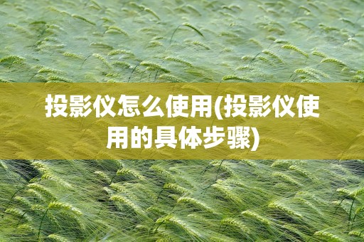 投影仪怎么使用(投影仪使用的具体步骤)