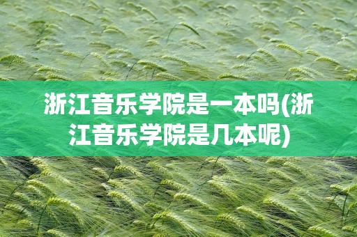 浙江音乐学院是一本吗(浙江音乐学院是几本呢)