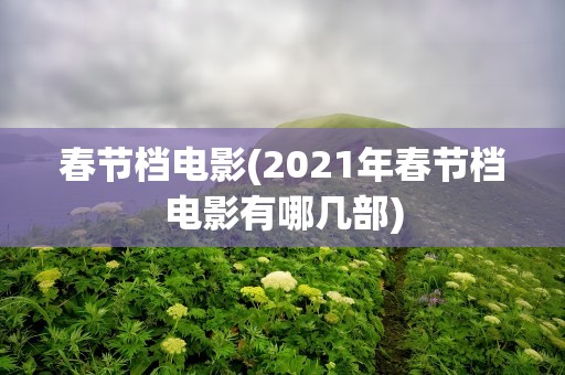 春节档电影(2021年春节档电影有哪几部)