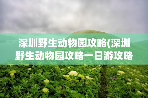 深圳野生动物园攻略(深圳野生动物园攻略一日游攻略)