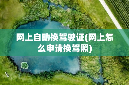 网上自助换驾驶证(网上怎么申请换驾照)