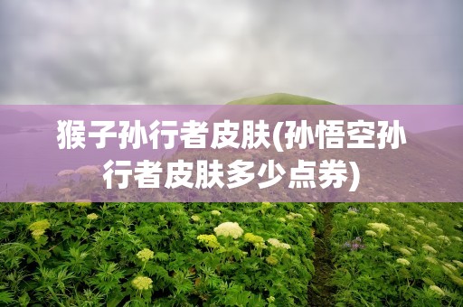 猴子孙行者皮肤(孙悟空孙行者皮肤多少点券)