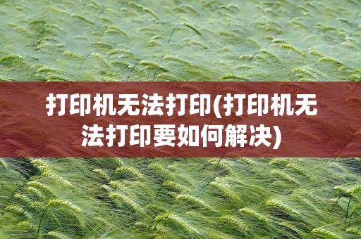 打印机无法打印(打印机无法打印要如何解决)