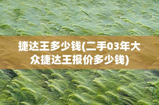 捷达王多少钱(二手03年大众捷达王报价多少钱)