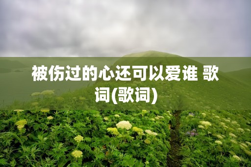 被伤过的心还可以爱谁 歌词(歌词)