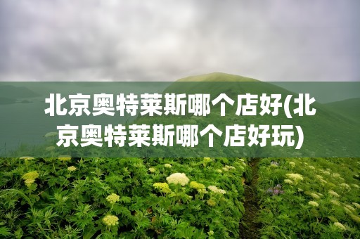 北京奥特莱斯哪个店好(北京奥特莱斯哪个店好玩)