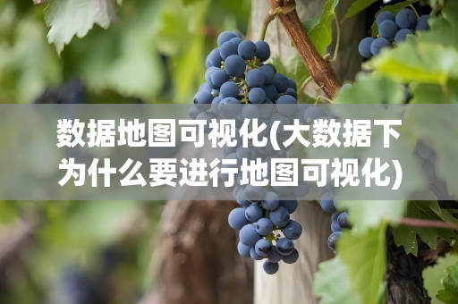 数据地图可视化(大数据下为什么要进行地图可视化)