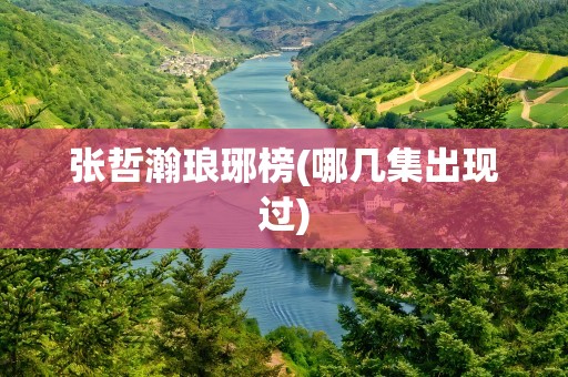 张哲瀚琅琊榜(哪几集出现过)