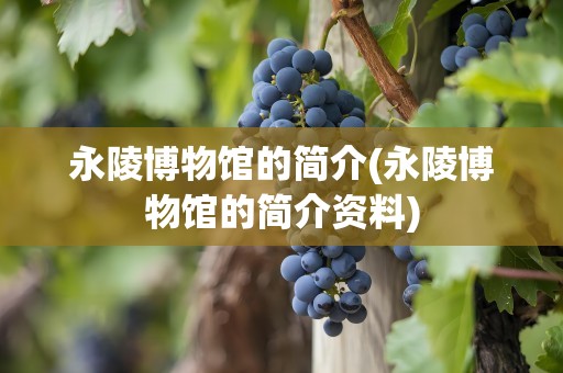 永陵博物馆的简介(永陵博物馆的简介资料)