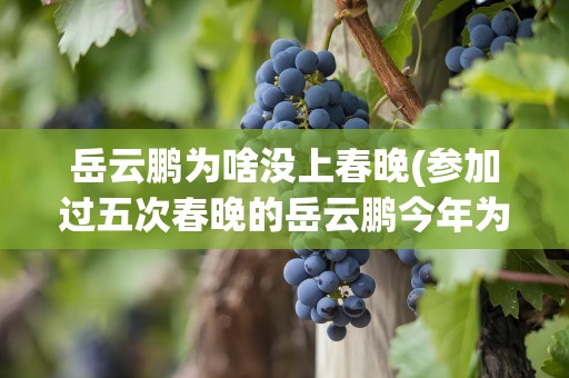 岳云鹏为啥没上春晚(参加过五次春晚的岳云鹏今年为什么没有出现在春晚的舞台上)