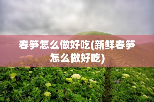 春笋怎么做好吃(新鲜春笋怎么做好吃)
