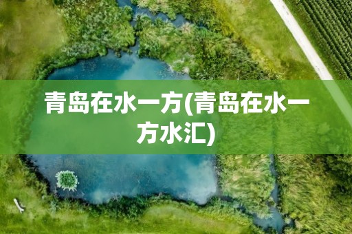 青岛在水一方(青岛在水一方水汇)
