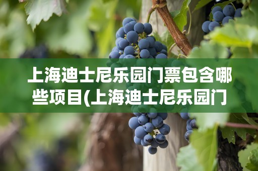 上海迪士尼乐园门票包含哪些项目(上海迪士尼乐园门票包含哪些项目免费)